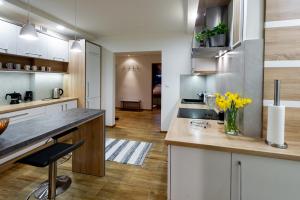 Η κουζίνα ή μικρή κουζίνα στο Apartament 3 Pokoje