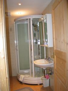 a bathroom with a shower and a sink at Pension Parzer Pressbaum bei Wien in Pressbaum