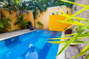 una piscina en un patio con plantas en Hotel Montejo en Mérida