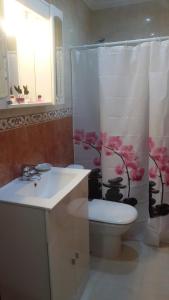 uma casa de banho com um WC, um lavatório e um chuveiro em LAS MARGARITAS em Gijón