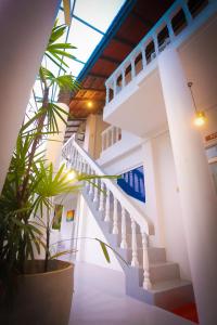 Fotografie z fotogalerie ubytování Kanada House Unawatuna v destinaci Unawatuna