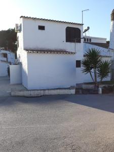 um edifício branco com uma palmeira em frente em Casa Boneca - Aldeia das Açoteias em Albufeira
