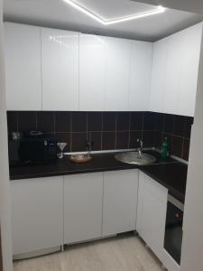 Virtuvė arba virtuvėlė apgyvendinimo įstaigoje Giovi Central Apartment