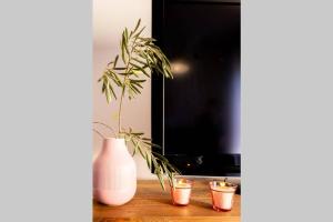 a table with two vases and a plant in front of a tv at Country chic duplex in Algarve in Pêra