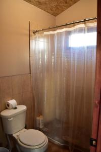 a bathroom with a toilet and a shower at Bajo el Sol del Valle in Valle de Guadalupe