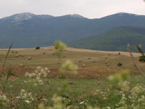 Paesaggio naturale nelle vicinanze dell'affittacamere