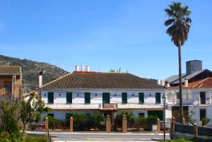un edificio con una palma di fronte a una strada di La Cañota King Rooms Adults Only a Talara