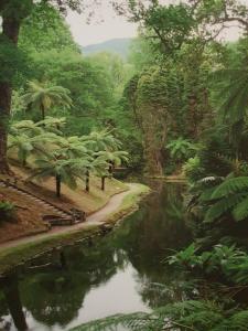 una pintura de un río en un bosque con árboles en Apartamento T3-S.PedroII, en Ponta Delgada