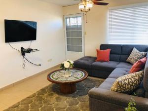 a living room with a couch and a tv at Luxury Retreat with Private Jacuzzi and Mountain Views FREE Parking in Ponce