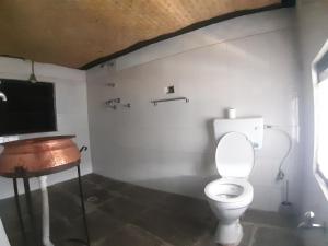 a bathroom with a toilet and a television on the wall at Siddhartha Garden Ayurveda in Pokhara