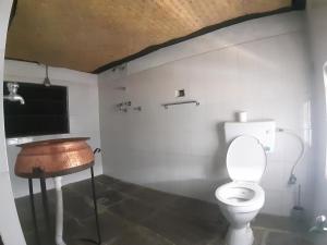 ポカラにあるシッダールタ ガーデン アーユルヴェーダのバスルーム(トイレ、木製シンク付)