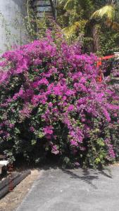 Fotografie z fotogalerie ubytování chez annick et jacques v destinaci Vieux Bourg