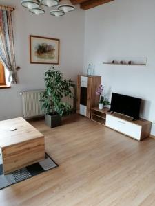 Fotografia z galérie ubytovania Ferienwohnung Michlwirt v destinácii Bad Radkersburg