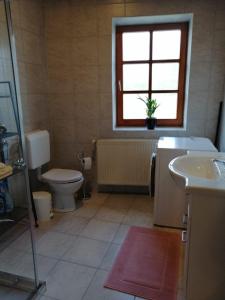 La salle de bains est pourvue d'un lavabo, de toilettes et d'une fenêtre. dans l'établissement Ferienwohnung Michlwirt, à Bad Radkersburg