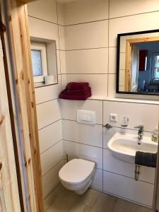 a small bathroom with a toilet and a sink at Gradlhof in Postbauer-Heng