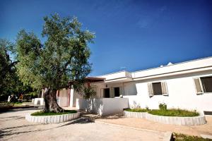 a tree in front of a white building at Felicity Vieste in Vieste +13 photos