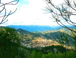 Fotografie z fotogalerie ubytování Mountain Rose Hotel & Restaurant v destinaci Pedoulas + 34 fotografií