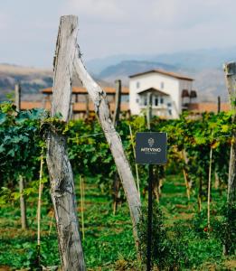Paesaggio naturale nelle vicinanze dell'hotel