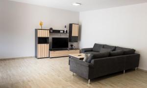 een woonkamer met een bank en een flatscreen-tv bij Seestübchen am Herthasee in Hörstel