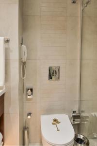 a bathroom with a toilet and a shower at Ankara Alegria Business Hotel in Ankara
