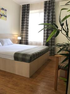 a bedroom with a bed and a plant at Dublin Hotel in Novorossiysk