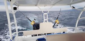 Příroda nedaleko penzionu – hostince