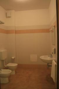 布雷諾的住宿－Casthello Ostello di Vallecamonica，一间带卫生间和水槽的浴室