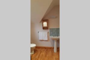 a bathroom with a sink and a toilet at Tir na nOg - A Piece of Heaven in Bantry