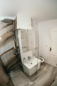 蒂米什瓦拉的住宿－Apartament de lux ultramodern in zona centrala，一间带水槽和玻璃淋浴的浴室