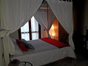 1 dormitorio con cama con dosel y ventana en Cascina Roella, en Monforte dʼAlba