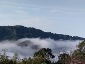 Paesaggio naturale nelle vicinanze della stanza in casa privata