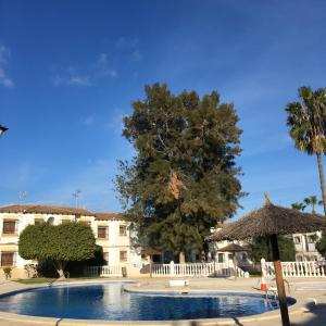 a swimming pool with a tree and a building at El Mirador, Villamartin, Refurbished,cot to hire, WIFI, pool, parking in Villamartin
