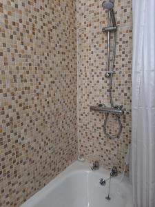 a bathroom with a shower and a bath tub at Glan Brennig in Tregaron