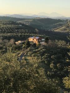 een huis bovenop een heuvel met bomen bij L'Oleandro in Loreto Aprutino