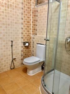 La salle de bains est pourvue de toilettes et d'une douche en verre. dans l'établissement Michenzani Flat, à Zanzibar City