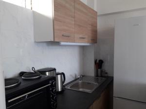 Kuchyň nebo kuchyňský kout v ubytování Atlas Apartment with Private Beach and SeaView