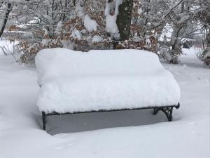 "Un matin au jardin" durante l'inverno