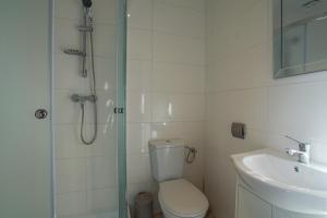 a bathroom with a shower and a toilet and a sink at Górska Chata u Kota in Huta Szklana