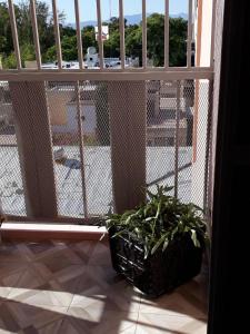una planta sentada en el suelo junto a una ventana en EN EL CORAZON DE MI BELLO SAN JUAN en San Juan
