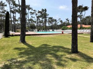 Afbeelding uit fotogalerij van Mira Lodge Park in Praia de Mira +37 foto's