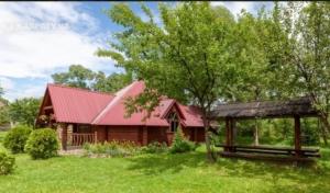 a log cabin with a red roof and a tree at Vodoliy in Mykulychyn