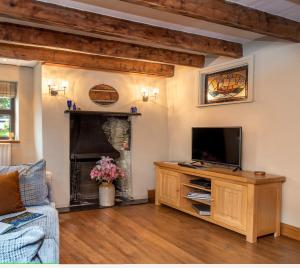 a living room with a television and a fireplace at The White Cottage B&B in Saint Teath