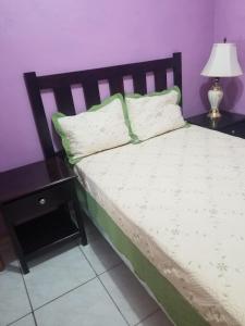 ein Bett mit zwei Kissen und einem Tisch mit einer Lampe in der Unterkunft Elizabeth Enchantments in La Ceiba