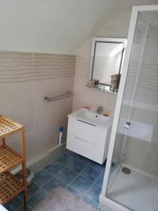 ein Badezimmer mit einem weißen Waschbecken und einer Dusche in der Unterkunft Celine'Home in Saint-Germain-sur-Morin