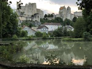 a view of a river with a castle in the background at Les Rosiers in Chaunay