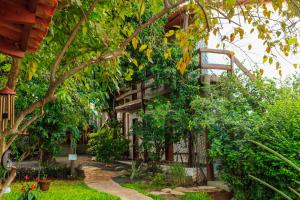 um jardim com um edifício coberto de árvores e plantas em Pousada Jardim da Nova Era em Alto Paraíso de Goiás