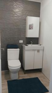 een badkamer met een wit toilet en een wastafel bij Appartamento Delia in Caleta De Fuste