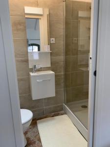 uma casa de banho com um WC, um lavatório e um chuveiro em COSY CENTRE HISTORIQUE em Arles