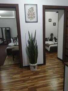 a living room with a potted plant on the floor at Guest House Safina-S&D in Samarkand