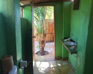 a green bathroom with a palm tree outside a door at Pousada Kite Guajiru in Itarema